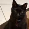 Profilbild von Arthur