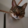 md's profile picture
