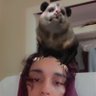 aime's profile picture