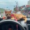 jack德's profile picture