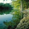 Фото профиля Satsuma Zed Texas - Public
