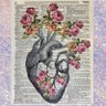 ♡ 𝓜𝓸𝓶𝓣𝓸2 ♡ profil fotoğrafı