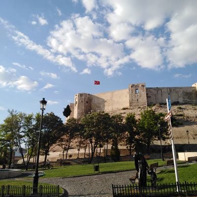 Atakan25169697's profile picture