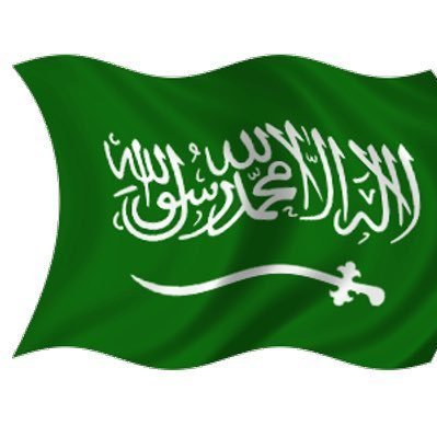Ali_alhwity_'s profile picture