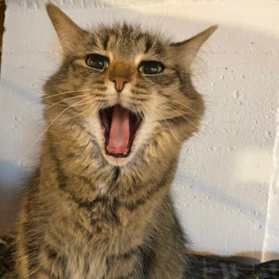 RichGarvenTG's profile picture