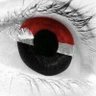 Profilbild von ahmed alshriff