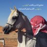 Фото профиля سلمان الجرواني