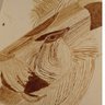 Profilbild von Pirithous1