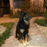 evita profil fotoğrafı