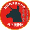 ラマ接骨院　１０年以上プロ格闘家、プロアスリートをパフォーマンスアップに導いたトレーナーがいる接骨院 profil fotoğrafı
