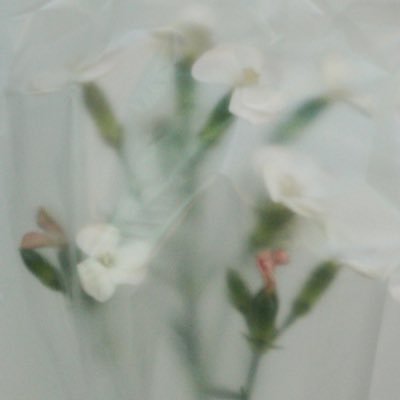 sun's profile picture