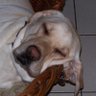 benjamin's profile picture