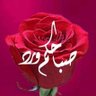 Malek El Zein's profile picture
