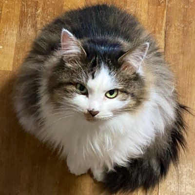 Yda1120's profile picture