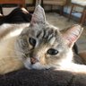 Profilbild von Suzi