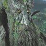 treebeardsuncle profil fotoğrafı