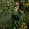 Фото профиля DragonsWrathxxx