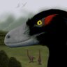 Profilbild von Prasokour