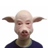 Jean Bonneau's profile picture