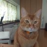 Фото профиля まのっち(=^^)ﾉ