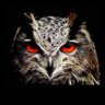 AnQl3pok's profile picture