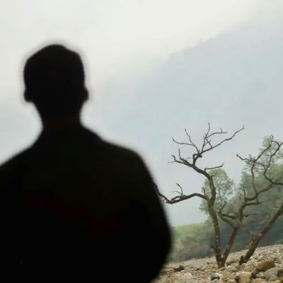 惊鹊S's profile picture