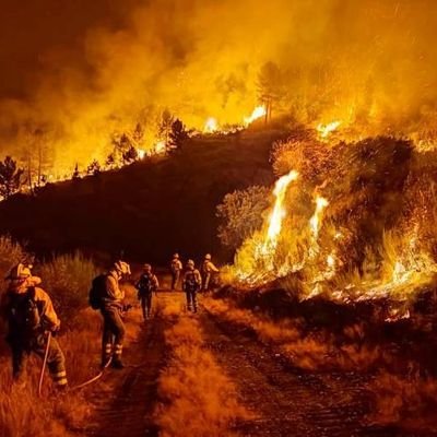 Incendios Forestales's profile picture