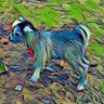 Profilbild von IamLuke