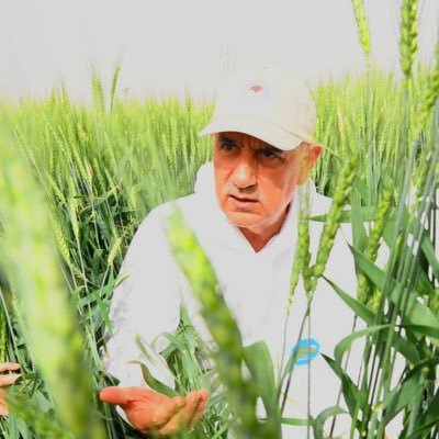Prof.Dr.Vahit Kirişci's profile picture
