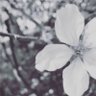 す。's profile picture