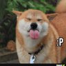 Pieseł Gaming profil fotoğrafı