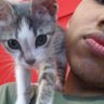 Luis Ovando's profile picture