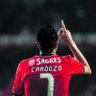 João Peixoto profil fotoğrafı