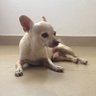 lala profil fotoğrafı