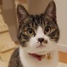 むーのすけ♡'s profile picture