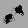 Pinche Mongolo's profile picture