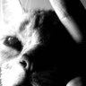 stjimmy23232323's profile picture