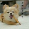 タイガヌーン「ヅダにドハマり中」's profile picture