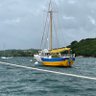 Sean Quinn🇬🇧🇮🇪🇪🇺🌍🏉⛵️3.5%do-gooder profil fotoğrafı