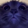 KRYJ's profile picture