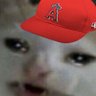 Profilbild von Anthony ⚾️