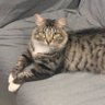 0xfan profil fotoğrafı