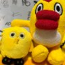 コボ森 的头像