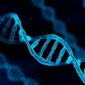 Know Your CYP450 Genes 的头像