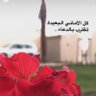 No00966🇸🇦's profile picture