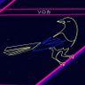 cyber soroka 🇺🇦's profile picture