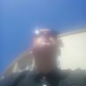 Freddy. D profil fotoğrafı