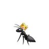 نمولي 🐜's profile picture