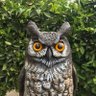 NiteOwl's profile picture