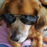 Profilbild von sima64